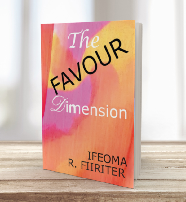 The Favour Dimension