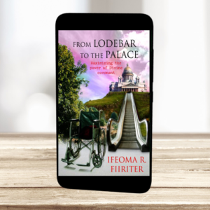 From Lo-debar To The Palace: Maximizing the Power of Divine Covenant - Ebook